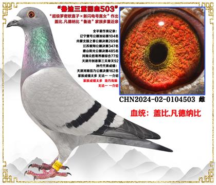 �w��.���¼{�ȡ�����(j��)�_�ܚWֱ��X(ju��)���W�ֱŮ������