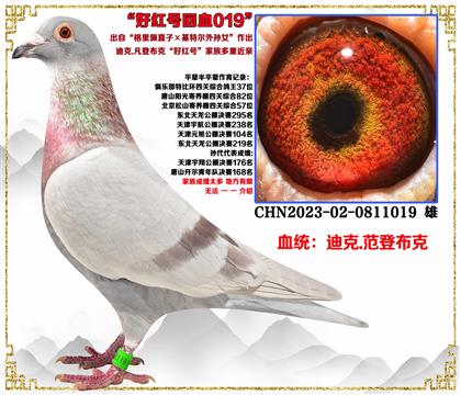 �Ͽ�.���ǲ��ˡ�������ֱ��X(ju��)���ؠ���OŮ���üt̖(h��o)���ؽ��H