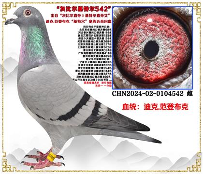 �Ͽ�.���ǲ��ˡ��ұȠ�ֱ�O�����ؠ�ֱ�OŮ��