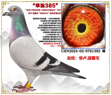 �۱R.�ٰ�����֪��17�䌦(du��)���HX���\(y��n)848ֱ�OŮ��