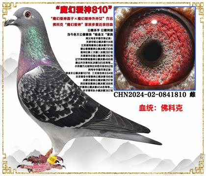 ��ƿˡ�ħ�Ð�(��i)��ֱ�ӡ�ħ�Ð�(��i)����OŮ�����H����