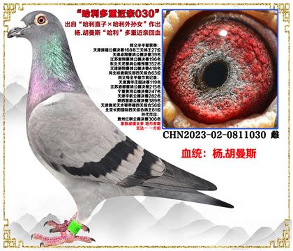 ��.����˹������ֱ�ӡ�������OŮ�����H��Ѫ