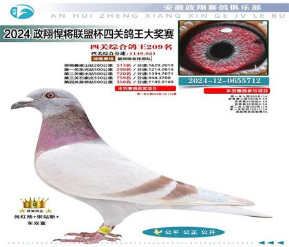 安徽政翔悍將聯(lián)盟杯”職業(yè)鴿舍公開(kāi)賽四關(guān)綜合209名 雄