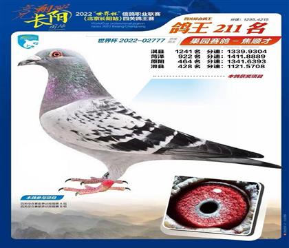 北京長(zhǎng)陽(yáng)國(guó)際-世界杯四關(guān)綜合211名 雄