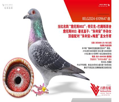 ��ؐ�˰���˹ԭ�ᡰ802�����������OŮ��-6109647