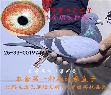 本舍頂級(jí)種雄