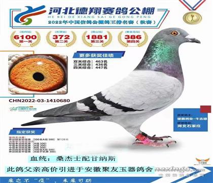 �Qِ386�� ɣ��ʿ��ʼ{˹