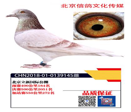 �w�Bϲ����272��