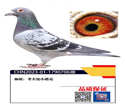 ��S������ ������706