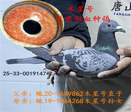 �ϲ���ľ��̖