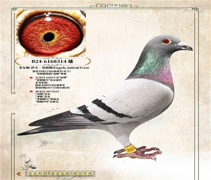 ��Ӣ��˹ԭ�ᡷ����ȫ��22506���Ǿ�ֱ��314