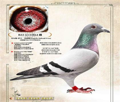 ��Ӣ��˹ԭ�ᡷ����ȫ��22506����܊ֱŮ864