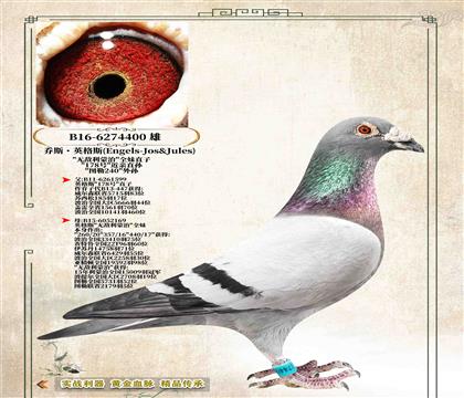 ��Ӣ��˹ԭ�ᡷ��178�š�����ֱ��400