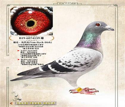 ���Ͽ˷����ˡ�ԭ�ᡰ����ƥ�����˹��������159