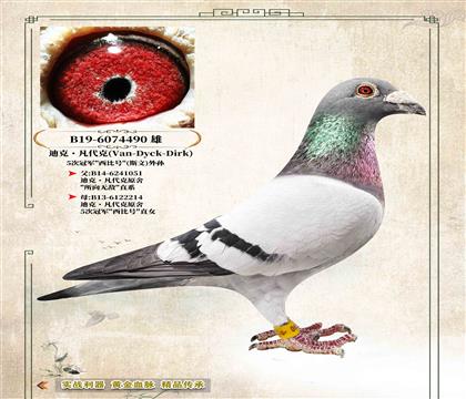 ���Ͽ˷����ˡ�ԭ�ᡰ���Ⱥš�����490