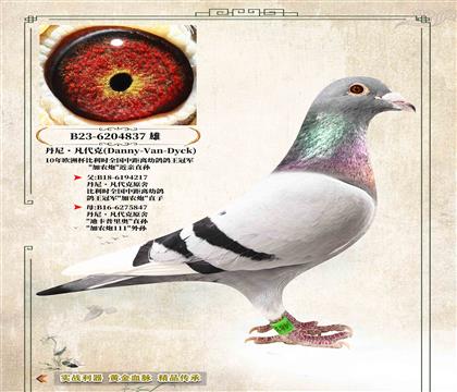 �����ᷲ���ˡ�ԭ�ᡰ��ũ�ڡ�����ֱ��837