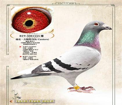 ����˹�˹�ء�ԭ�ᡰɣ��ʿ����36������ֱ��555