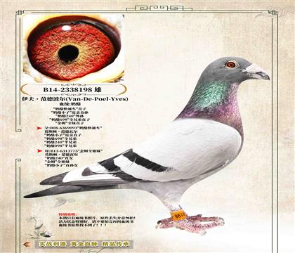 �����򷶵²�����ԭ�ᡰ����С�ӡ�����ֱ��198