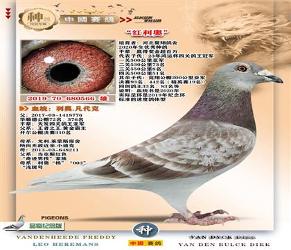 1-�t���W+�_(k��i)�T�t