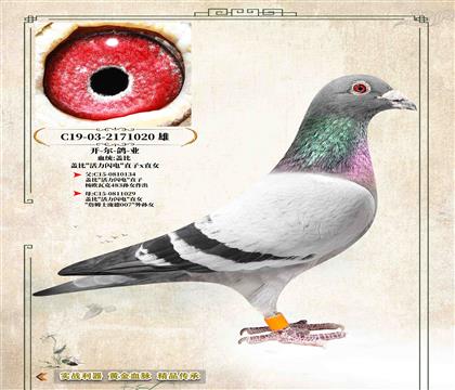 ��������ҵ���Ǳȡ��������硱����ֱ��020