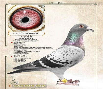 ��������ҵ���������ࡰֱ��x���������Ǿ�034