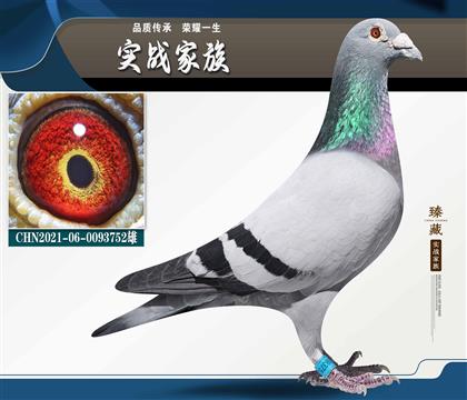 һֻ�����w��� 15�ι���ǰ10