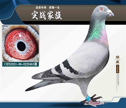 ������.����������