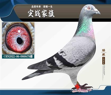 �w��� 15�ι���ǰ10 ��������