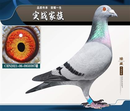 �������� ��������˹ �ʺ�̖