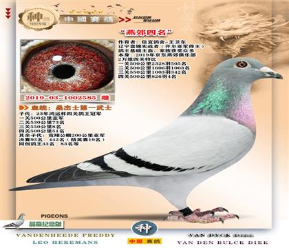 2-�ོ����+ɣ��ʿ