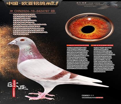 �Ͽ˷��ǲ���ԭ��387X401���ؠ�