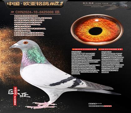 �w��ԭ����?sh��)�ֱ�?30X���W�̖398