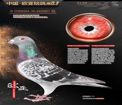 �t�w��129X951�p�ؽ��H��������