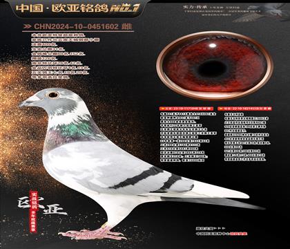 ��Xɣ��ʿ048�~��324̖X��X���R��453