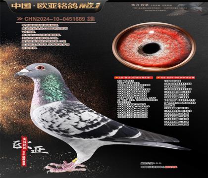 ������ֱ��855X������ֱŮ499