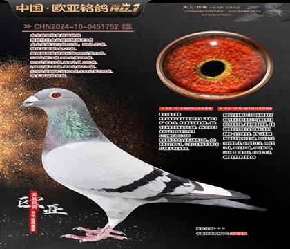 ɣ��ʿ���H��������X�ر�15��ƽ��