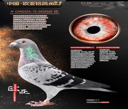 ���Wԭ�Შ��5��851X��ֱ�OŮ713