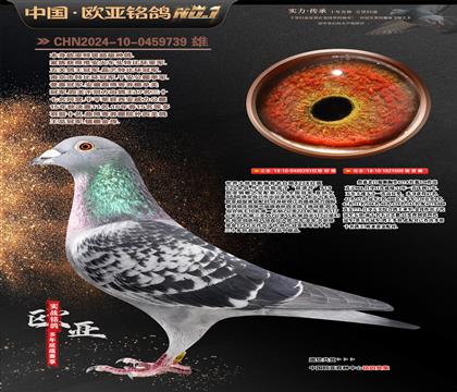 ղɭ���B(y��ng)������ʮ��293Xղɭ000��ĸ