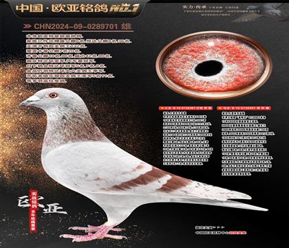 �Ͽ˷��ǲ���ԭ��387X401���ؠ�