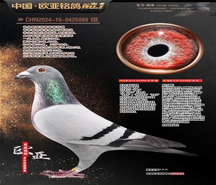 �w��.���¼{��ԭ��998X199