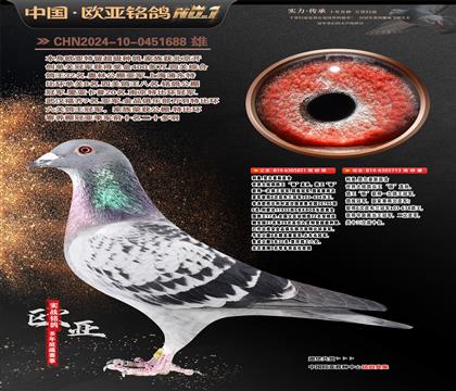 ���Wԭ�Შ��5��851X��ֱ�OŮ713