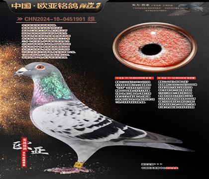 ղɭ919ֱ��999Xղɭ766ֱŮ840