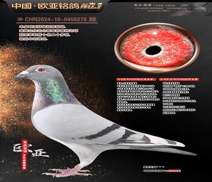 �Ͽ�.���ǲ���Ѫ�y(t��ng)���ؠ�233X260�����䌦