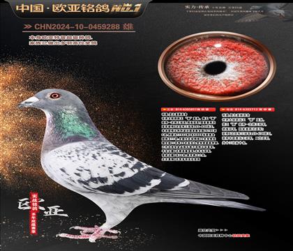 ���Wԭ�Შ��5��851X��ֱ�OŮ713