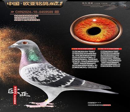 ʩ���g������܊X NPO�����̖��875X843