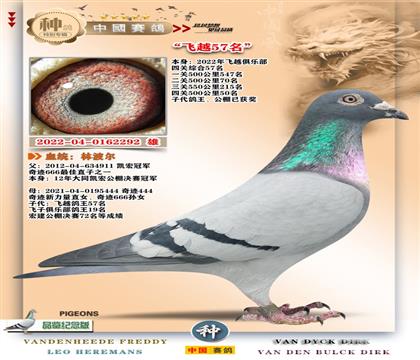 3-�ֲ������E����57+���H