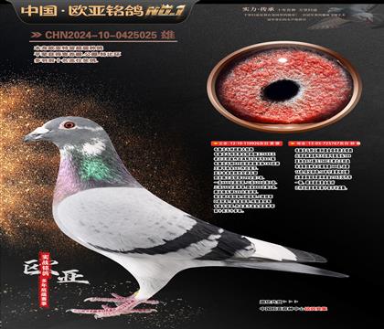 ��X���R��926X767