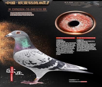 ��ƿ�ԭ�ᡰ����̖��448X������·˹��882