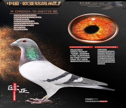 �w��ԭ���W�ֱ̖�O190X�ʼһ�ֱŮ359