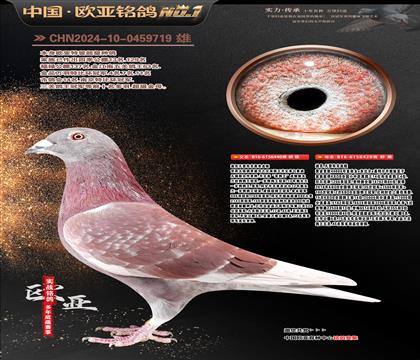 �Ͽ˷��ǲ���ԭ��440X�S��ښW40000̖